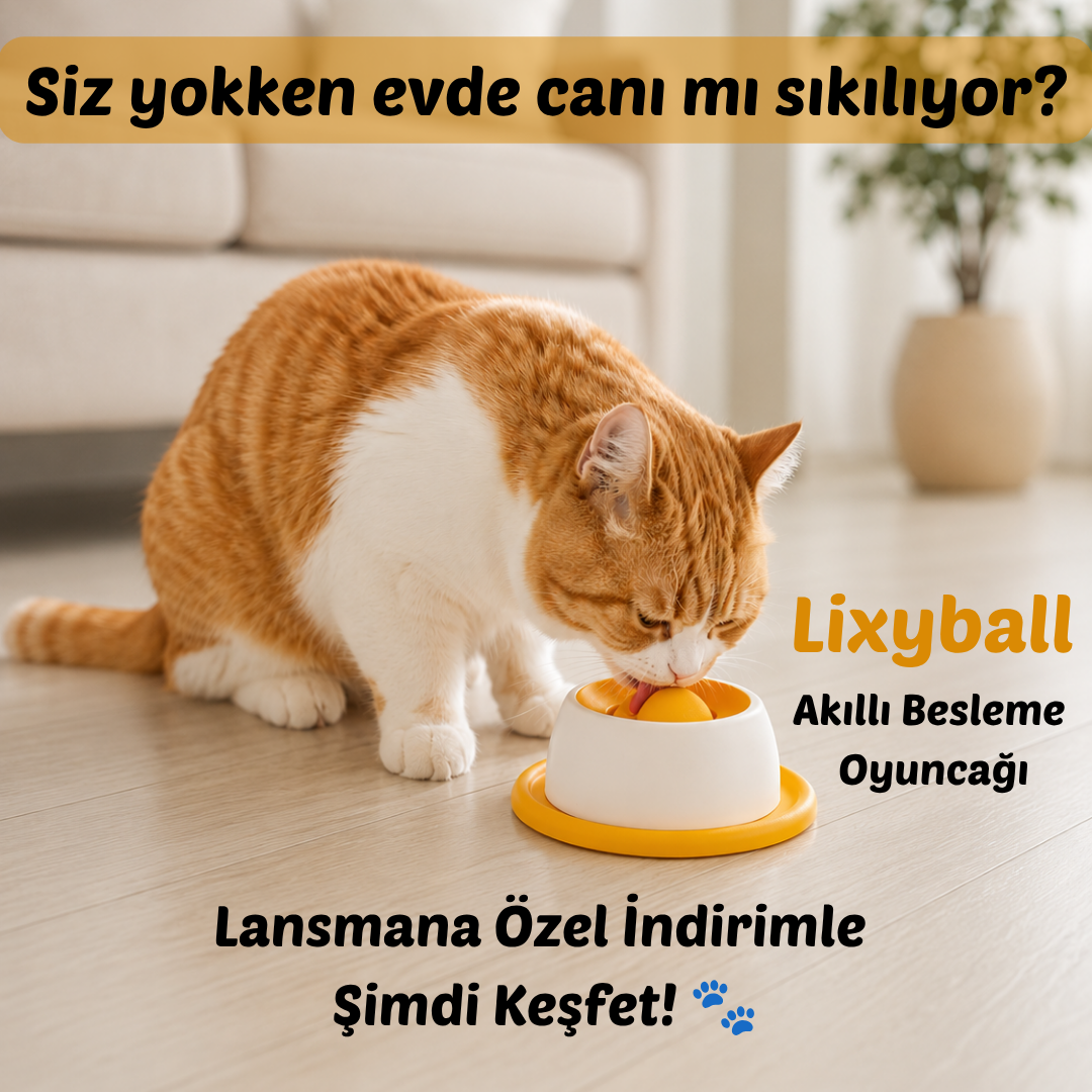 Lixyball