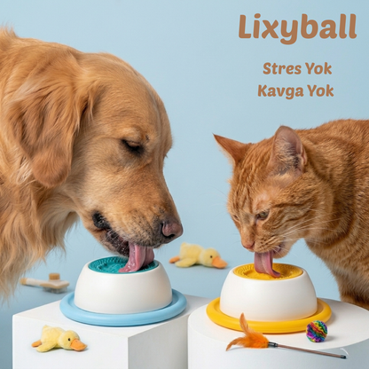 Lixyball