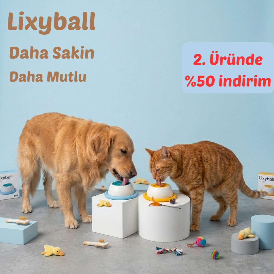 Lixyball